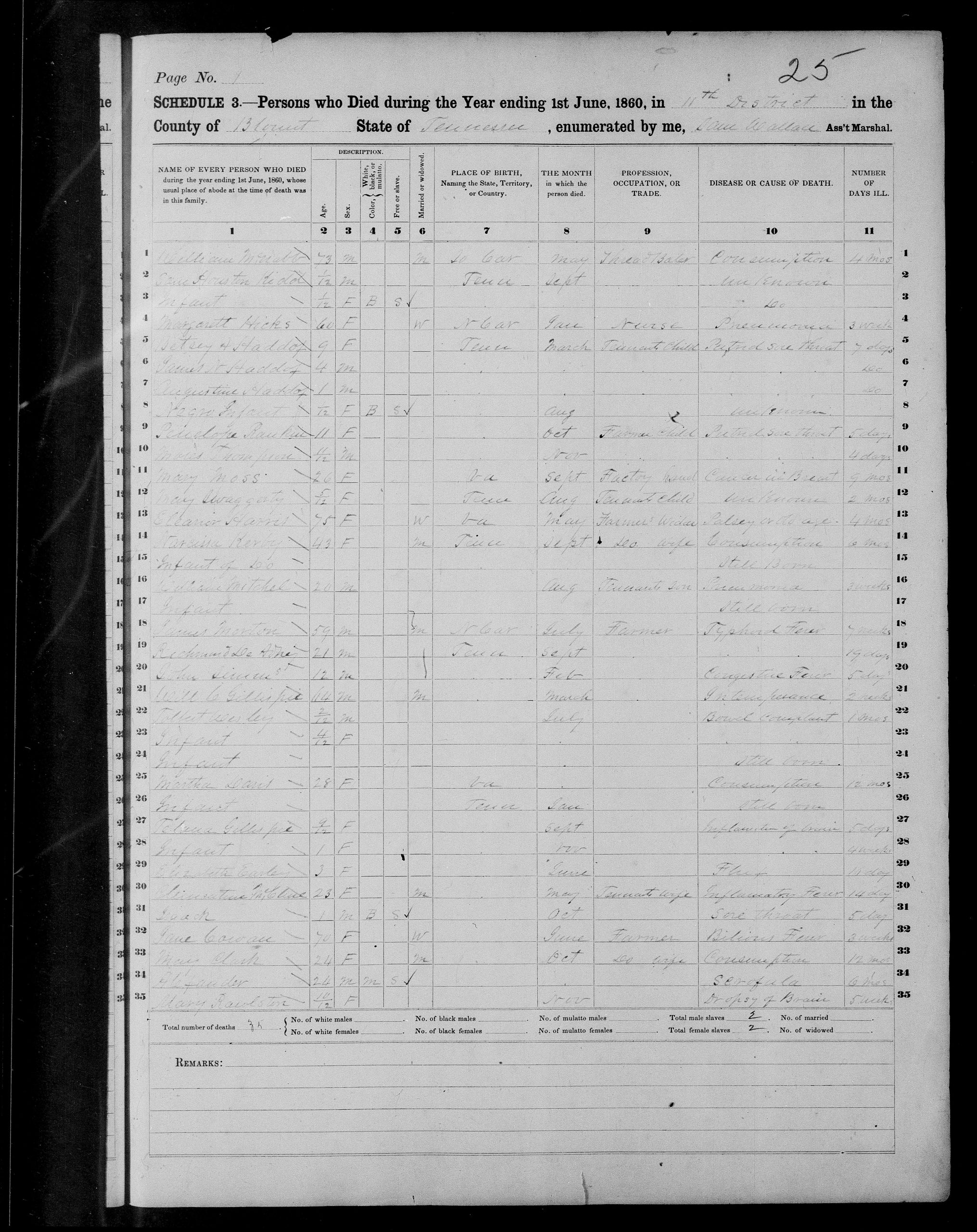 1860 Blount County Mortality Schedule Page 4