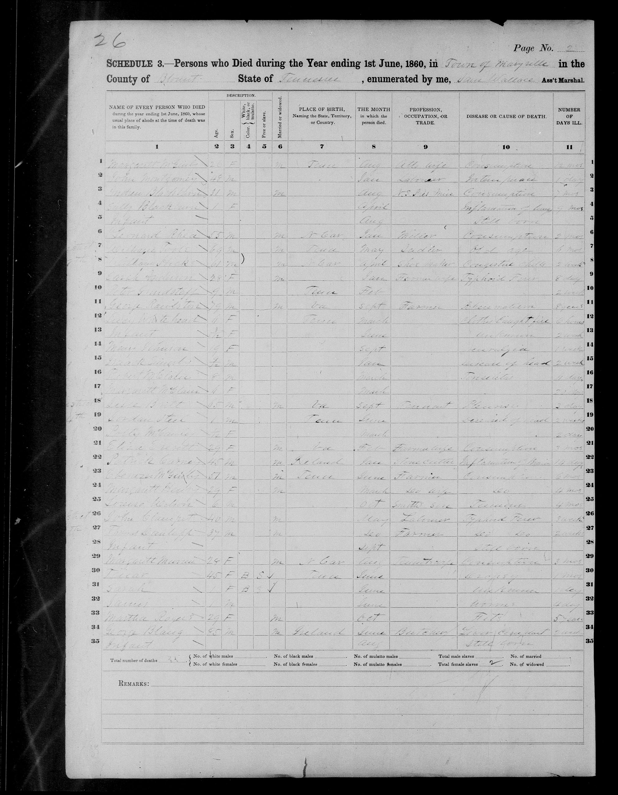 1860 Blount County Mortality Schedule Page 5